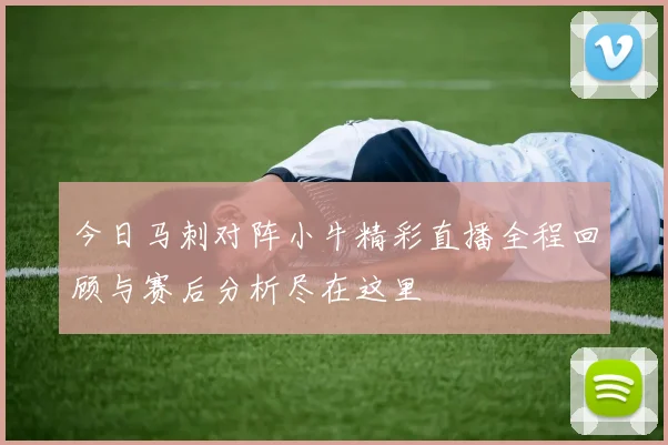 今日马刺对阵小牛精彩直播全程回顾与赛后分析尽在这里