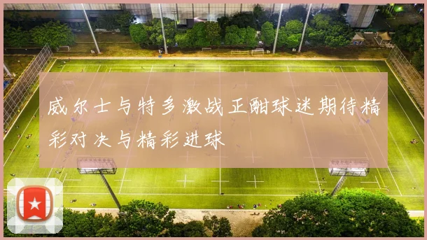 威尔士与特多激战正酣球迷期待精彩对决与精彩进球