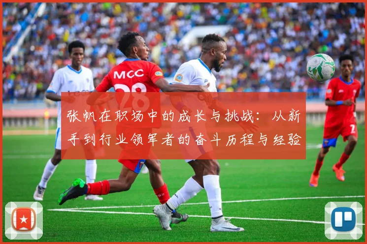 张帆在职场中的成长与挑战：从新手到行业领军者的奋斗历程与经验分享