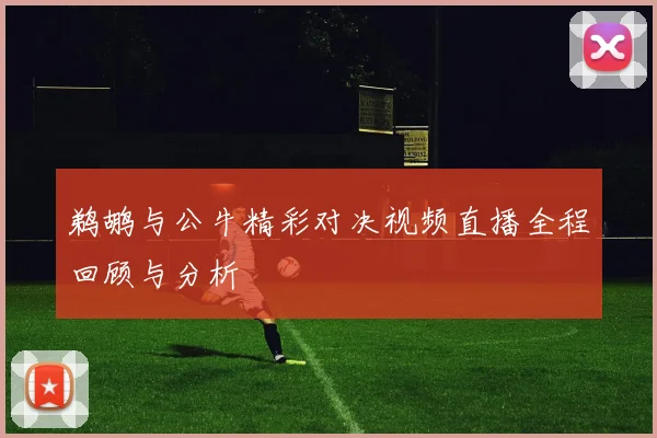 鹈鹕与公牛精彩对决视频直播全程回顾与分析