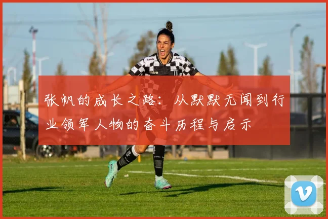 张帆的成长之路：从默默无闻到行业领军人物的奋斗历程与启示