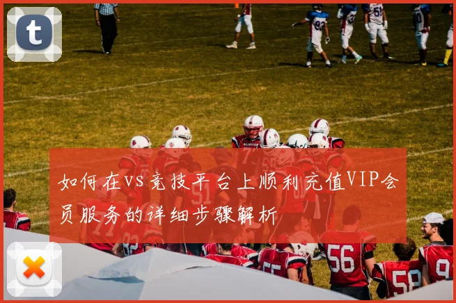 如何在vs竞技平台上顺利充值VIP会员服务的详细步骤解析