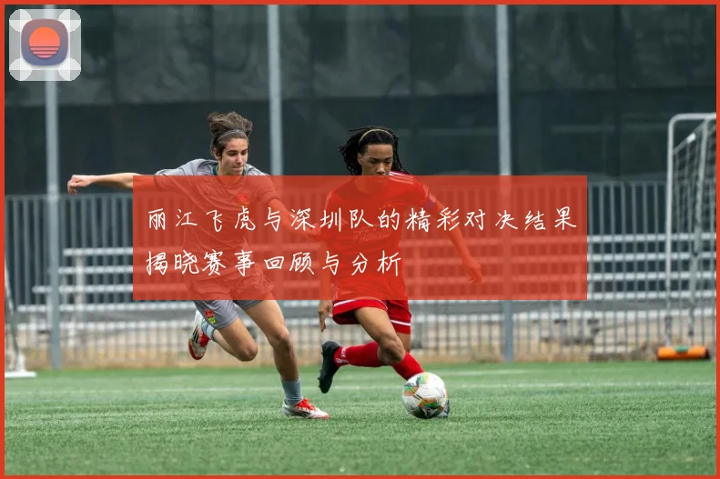 丽江飞虎与深圳队的精彩对决结果揭晓赛事回顾与分析