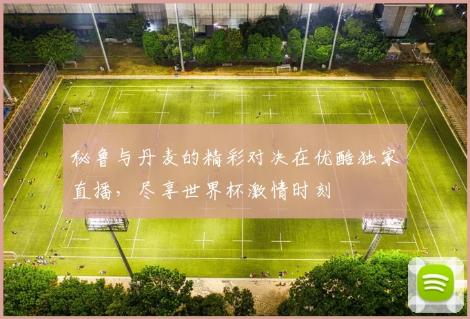 秘鲁与丹麦的精彩对决在优酷独家直播，尽享世界杯激情时刻