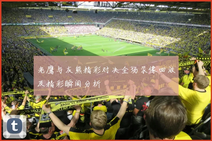 老鹰与灰熊精彩对决全场录像回放及精彩瞬间分析
