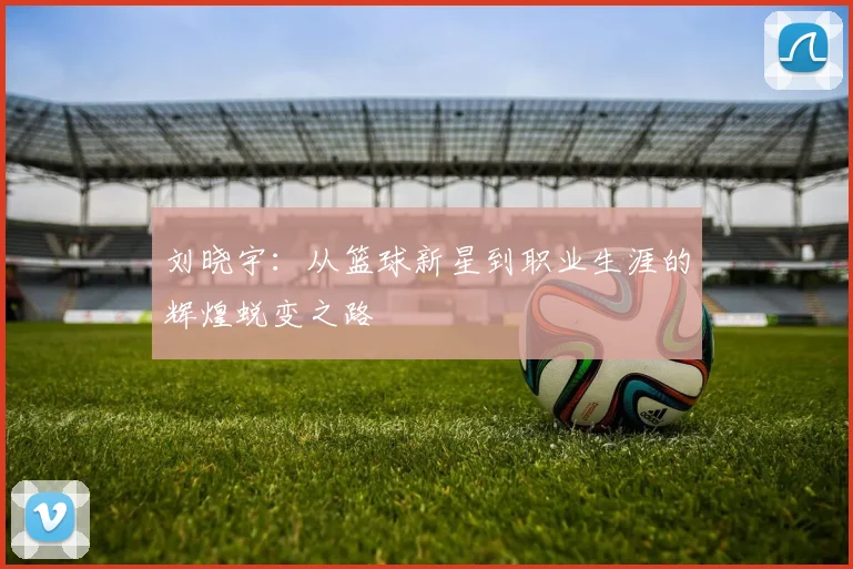 刘晓宇：从篮球新星到职业生涯的辉煌蜕变之路
