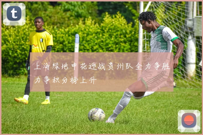 上海绿地申花迎战贵州队全力争胜力争积分榜上升