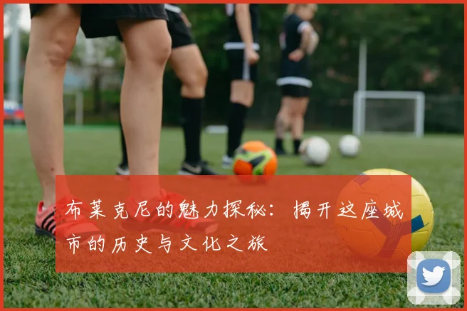 布莱克尼的魅力探秘：揭开这座城市的历史与文化之旅