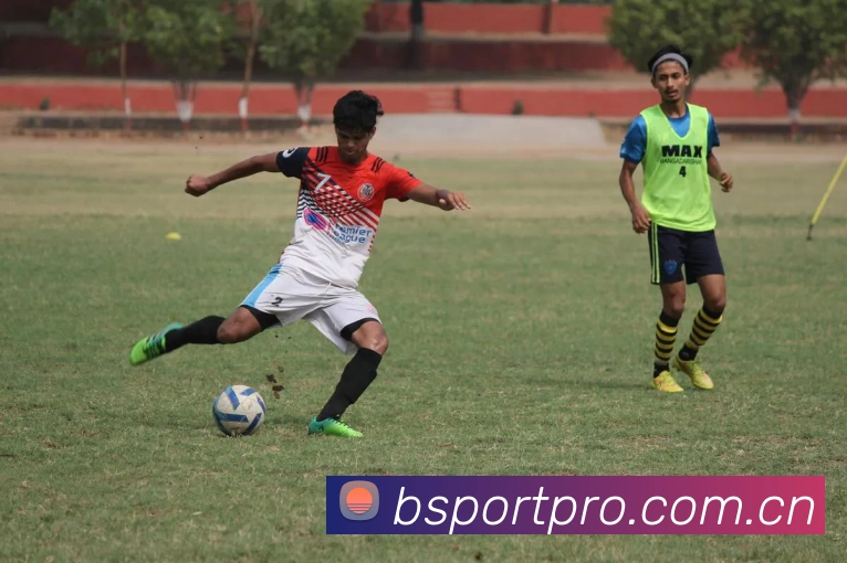 Bsports平台生态图